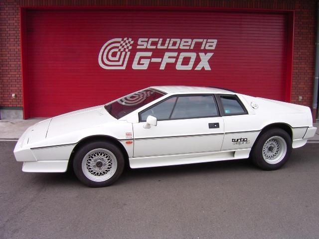 Sold Out ロータス エスプリ ターボ 中古車 Scuderia G Fox